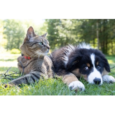 test1のテスト商品１